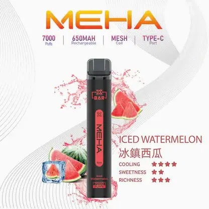 MEHA XBAR 拋棄式 7000口小黑條 (2) MEHA XBAR 魅嗨小黑條7000口拋棄式電子煙|3%尼古丁鹽 650mAh電池 Mesh霧化技術 台灣現貨