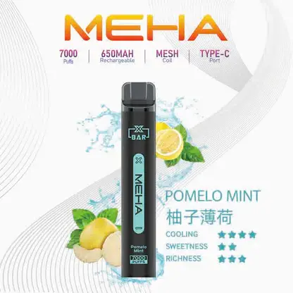 MEHA XBAR 拋棄式 7000口小黑條 (9) MEHA XBAR 魅嗨小黑條7000口拋棄式電子煙|3%尼古丁鹽 650mAh電池 Mesh霧化技術 台灣現貨